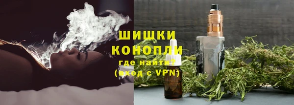 дживик Богородицк