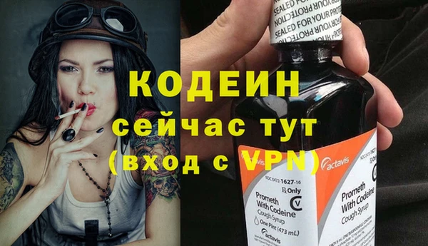 дживик Богородицк
