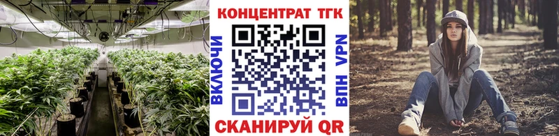 дарк нет Telegram  Ветлуга  ТГК Wax 